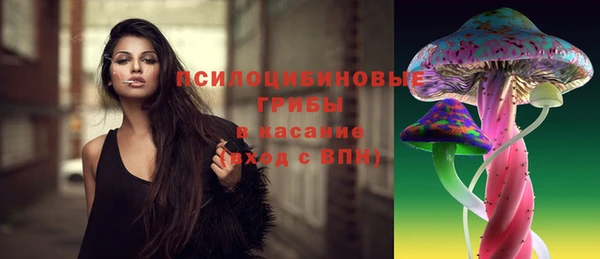 гидра Алзамай