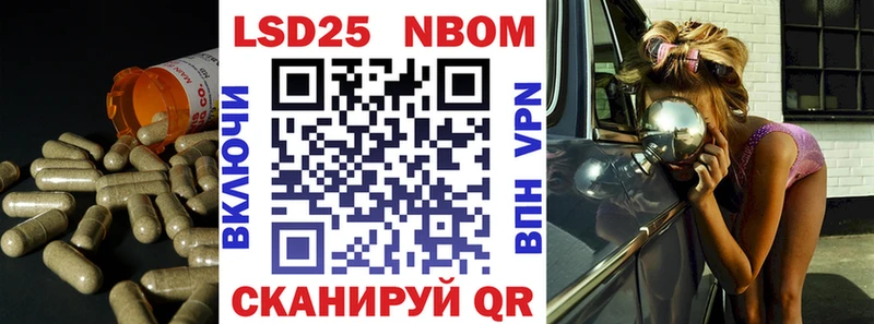 где купить наркоту  Ставрополь  Лсд 25 экстази кислота 