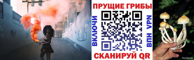 ОМГ ОМГ маркетплейс  Ставрополь  Псилоцибиновые грибы GOLDEN TEACHER  наркошоп 