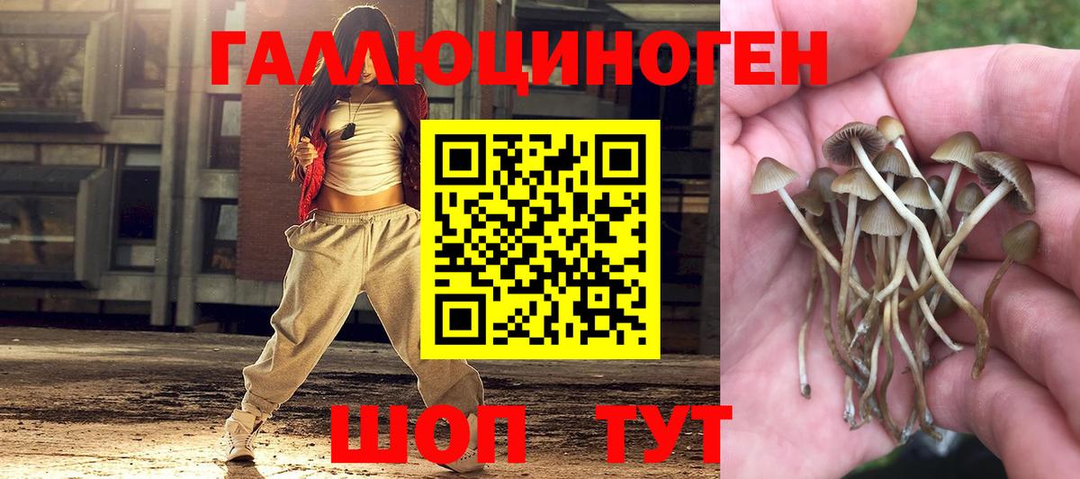Галлюциногенные грибы MAGIC MUSHROOMS  закладки  Ставрополь  Вход с VPN 