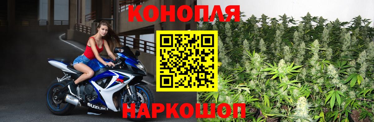 Бошки марихуана VHQ  Конопля Bruce Banner  Вход с VPN  Ставрополь 